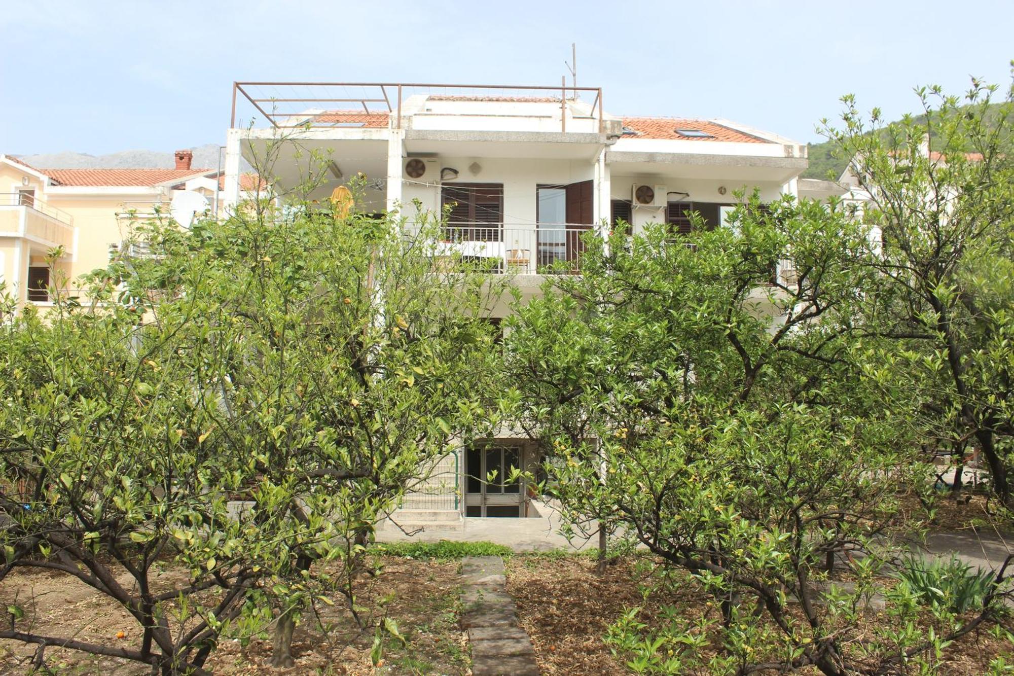 Nir Apartments Budva Exterior photo